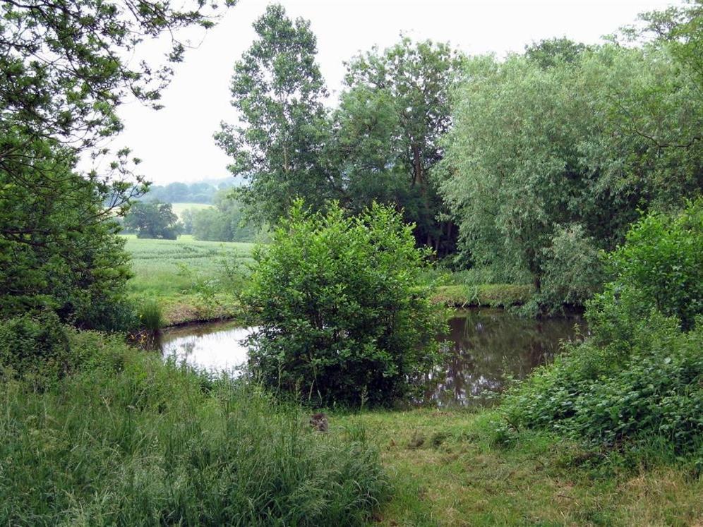 Elephant Cottage Edwin Loach Eksteriør bilde